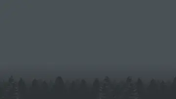 Misty Pine Forest Silence wallpaper