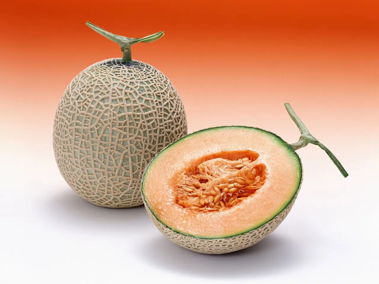 Fresh Sweet Cantaloupe Melons – white and beige desktop wallpaper, 1600×1200