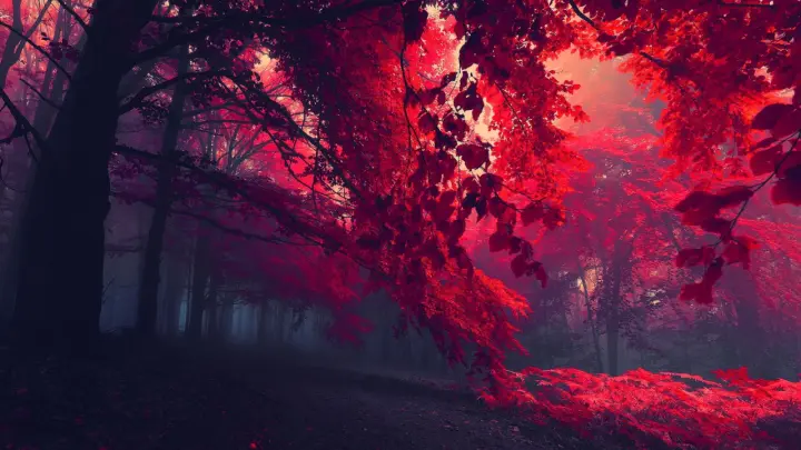Scarlet Forest Mist as a phone lock screen