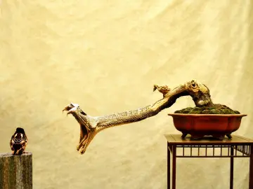 Serpent Bonsai Confronts Little Bird wallpaper