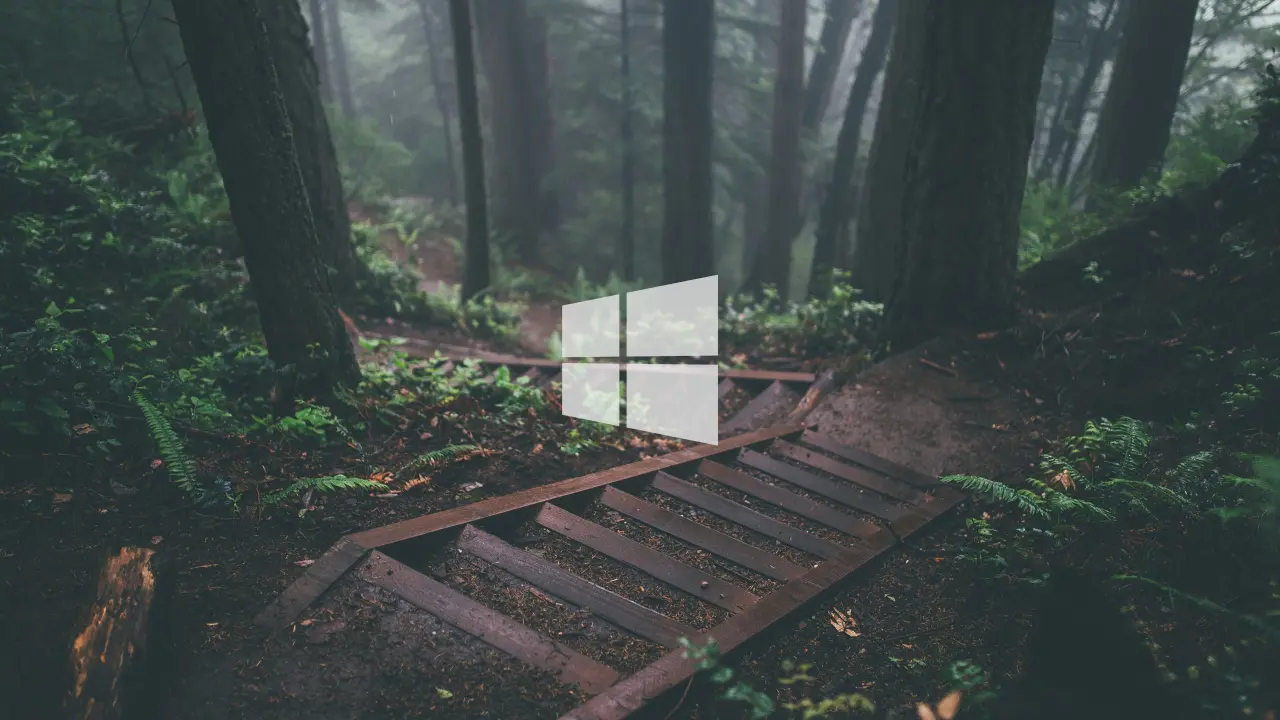 Mist in the Woods – black and grey desktop wallpaper, 2560×1440