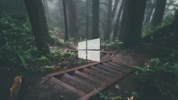 Mist in the Woods wallpaper