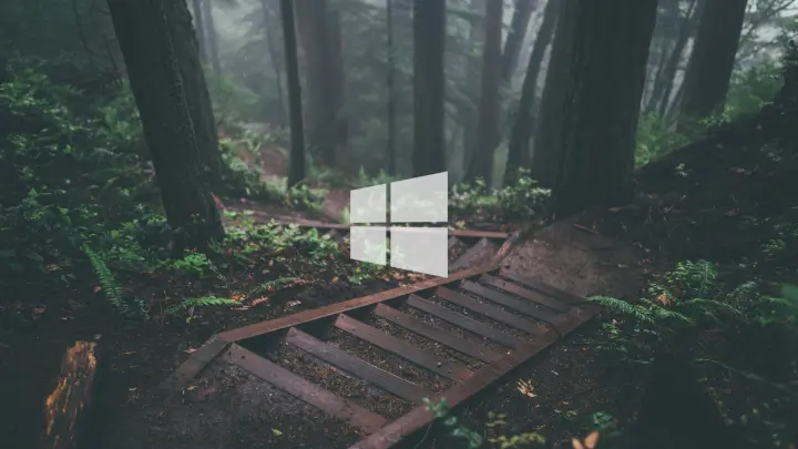 Mist in the Woods as a phone lock screen