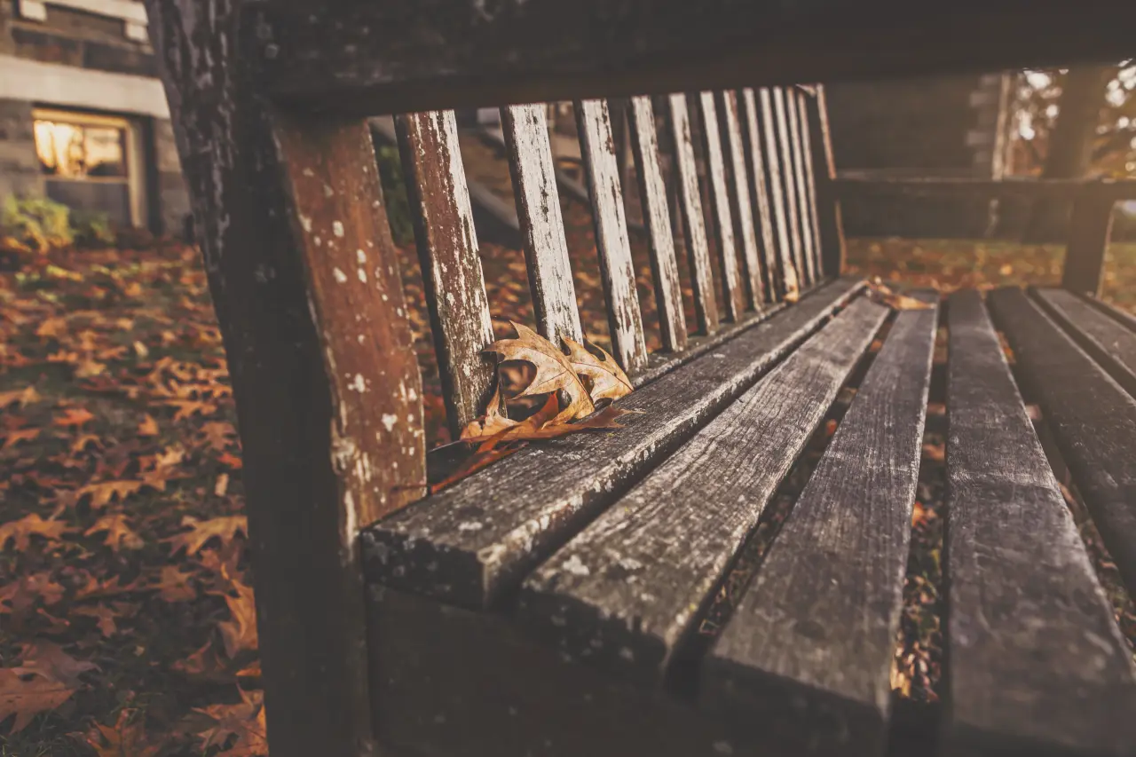 Quiet Autumn Bench – black and grey desktop wallpaper, 5407×3605