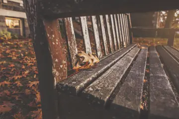 Quiet Autumn Bench wallpaper