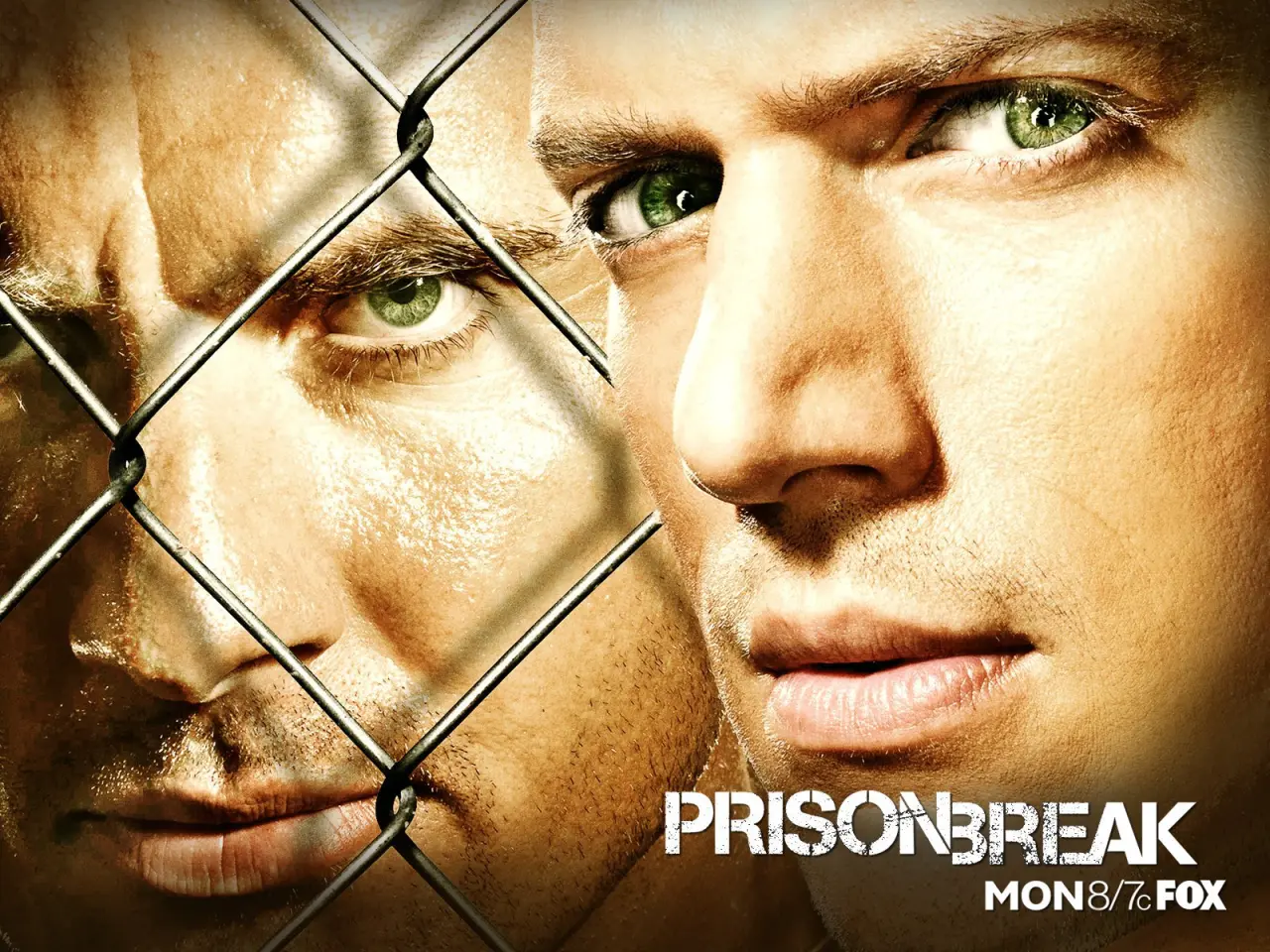 Behind The Chain Link – beige and brown desktop wallpaper, 1600×1200