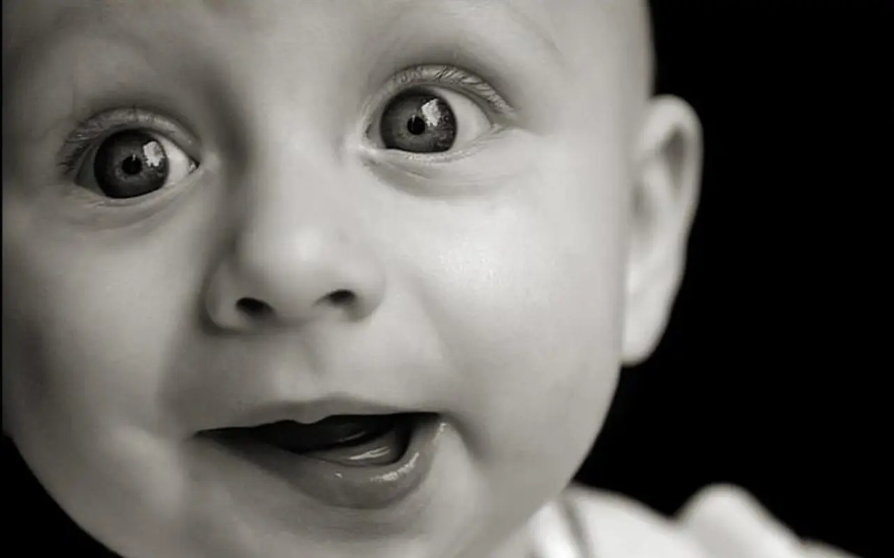 Innocent Wide Eyes – black and grey desktop wallpaper, 1440×900