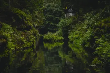 Cabin By The River wallpaper