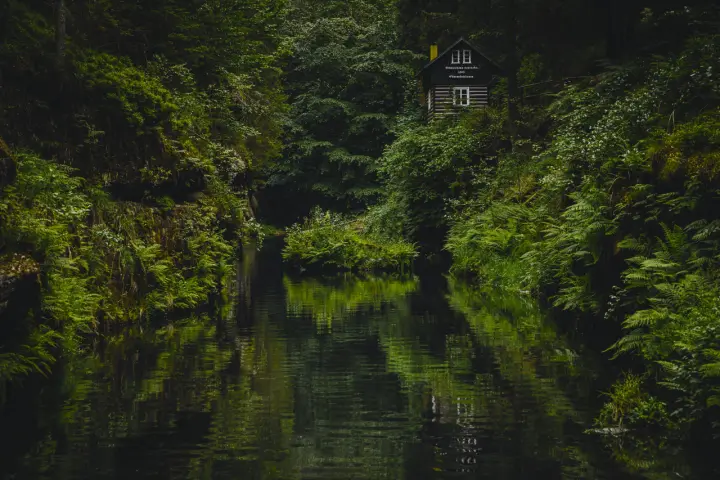 Cabin By The River as a phone lock screen