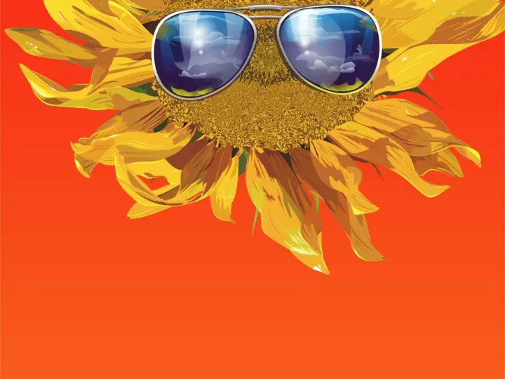 Cool Summer Sunflower as a phone lock screen