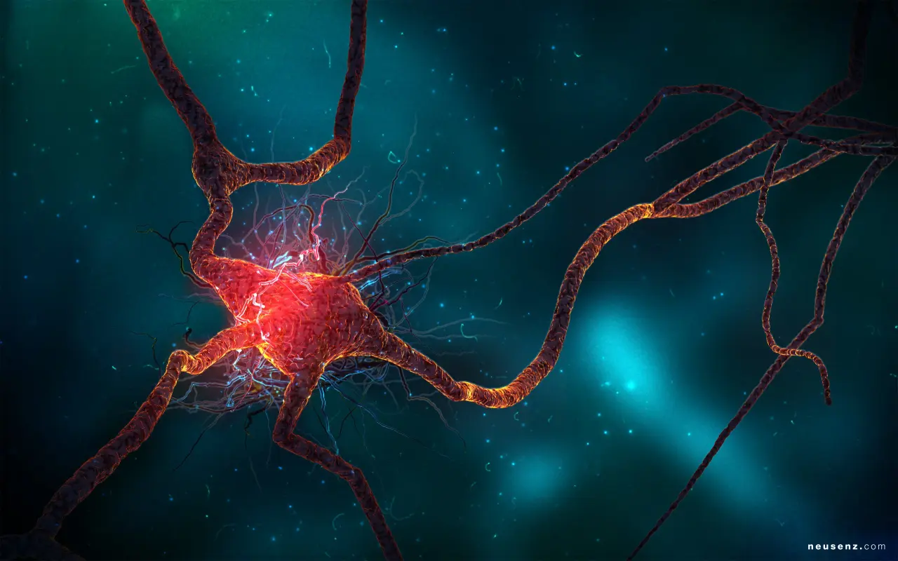 Firing Neuron Network – grey and black desktop wallpaper, 2560×1600