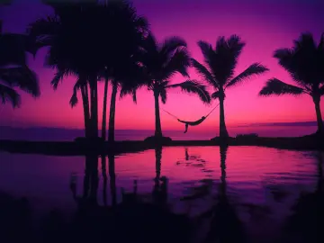 Neon Tropical Hammock Dreams wallpaper
