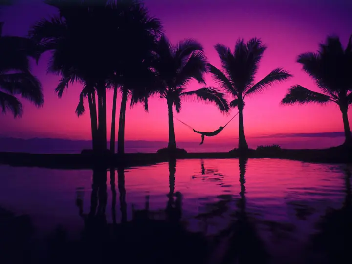 Neon Tropical Hammock Dreams as a phone lock screen