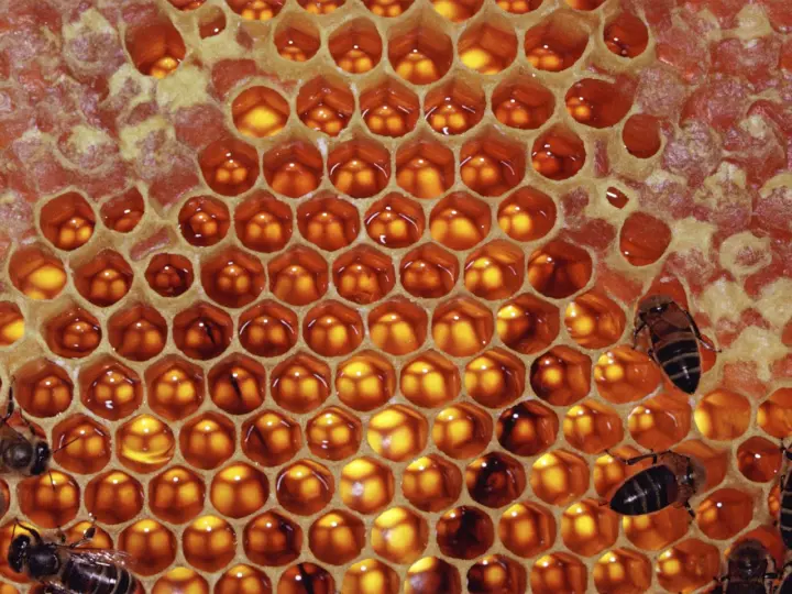 Golden Hexagon Honeycomb Texture as a phone lock screen