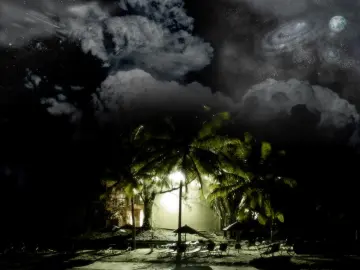 Cosmic Night Over Palms wallpaper