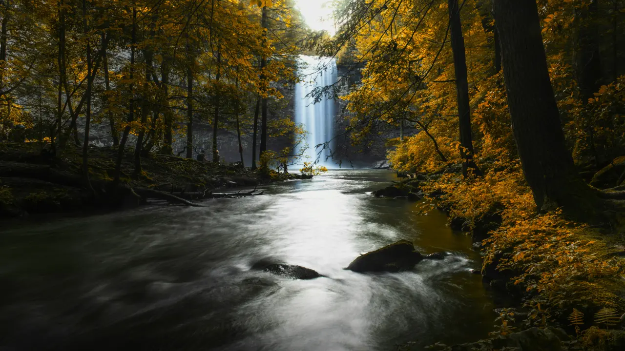 Autumn Waterfall in Forest – black and yellow desktop wallpaper, 6144×3456