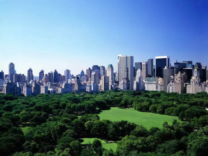 Verdant Park Skyline View as a phone lock screen