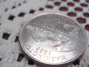 Washington Quarter Close Up wallpaper