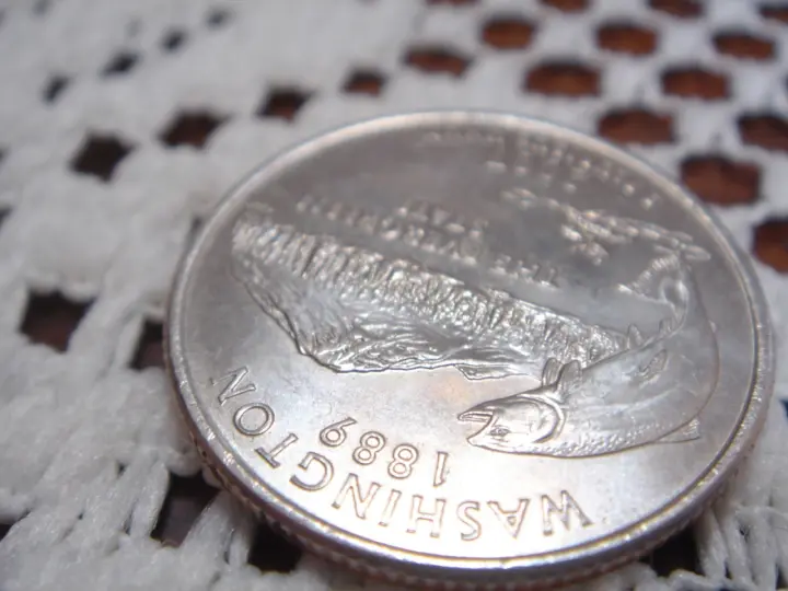 Washington Quarter Close Up as a phone lock screen