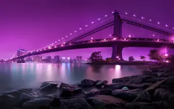 Neon Night Over The Bridge wallpaper