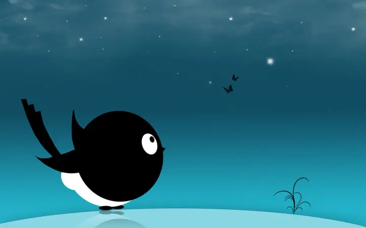 Stargazing Little Bird as a phone lock screen