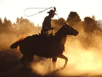 Rider of the Dust wallpaper