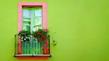 Vibrant Green Balcony Window wallpaper