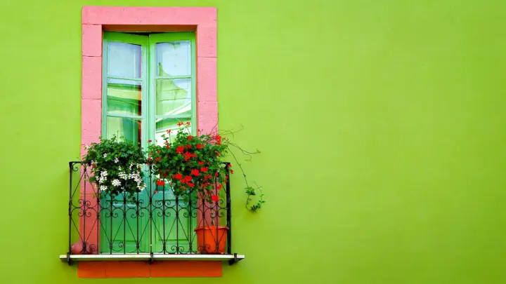 Vibrant Green Balcony Window as a phone lock screen