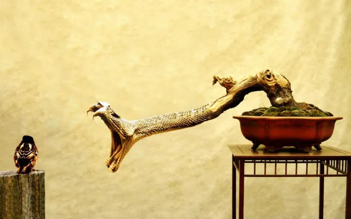 Bonsai Snake Threatening A Bird as a phone lock screen