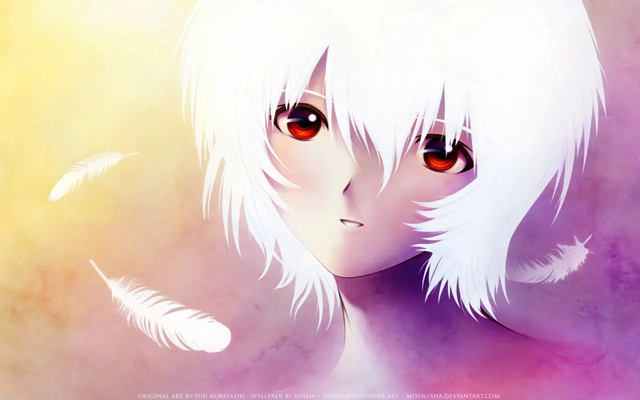 Gaze of the White Angel – white and brown desktop wallpaper, 2560×1600