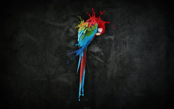 Splash of Vibrant Plumage as a phone lock screen