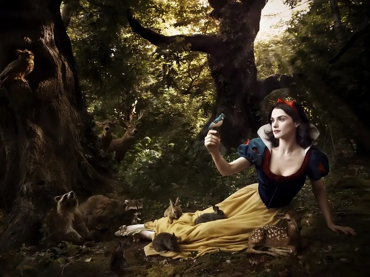 Princess in the Woods – black and green desktop wallpaper, 1600×1200