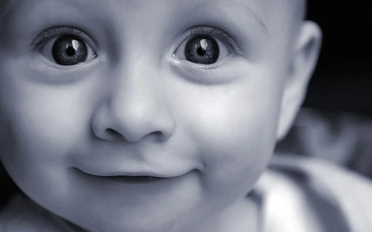 Innocent Wide Eyes – grey and black desktop wallpaper, 1440×900