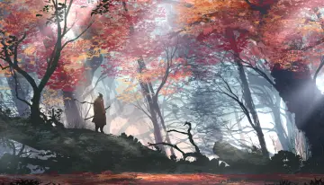 Autumn Journey Through Forest wallpaper