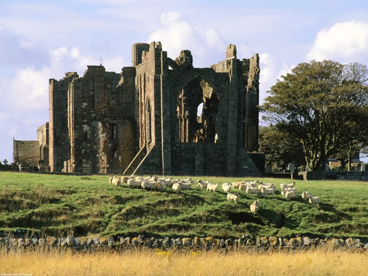 Ruins In Green Fields – blue and black desktop wallpaper, 1600×1200