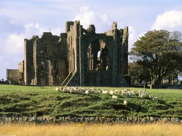 Ruins In Green Fields wallpaper
