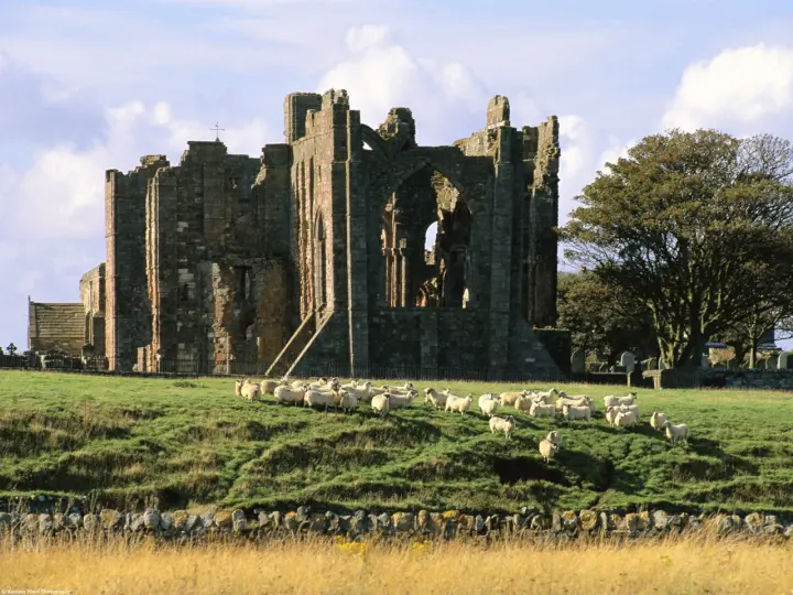 Ruins In Green Fields as a phone lock screen