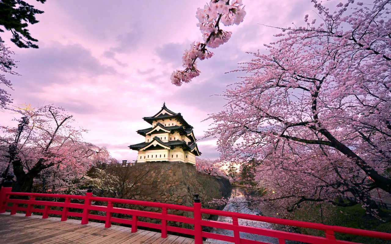 Spring Blossoms At Castle – brown and purple desktop wallpaper, 1920×1200