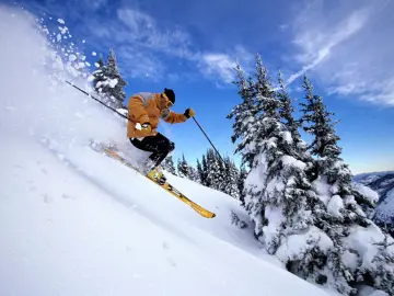 Carving Through Fresh Powder wallpaper