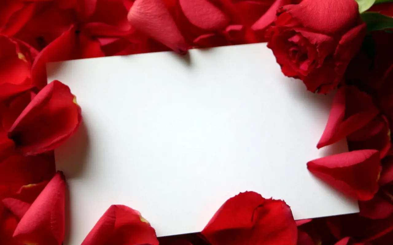 Blank Note Amidst Roses – white and red desktop wallpaper, 1680×1050
