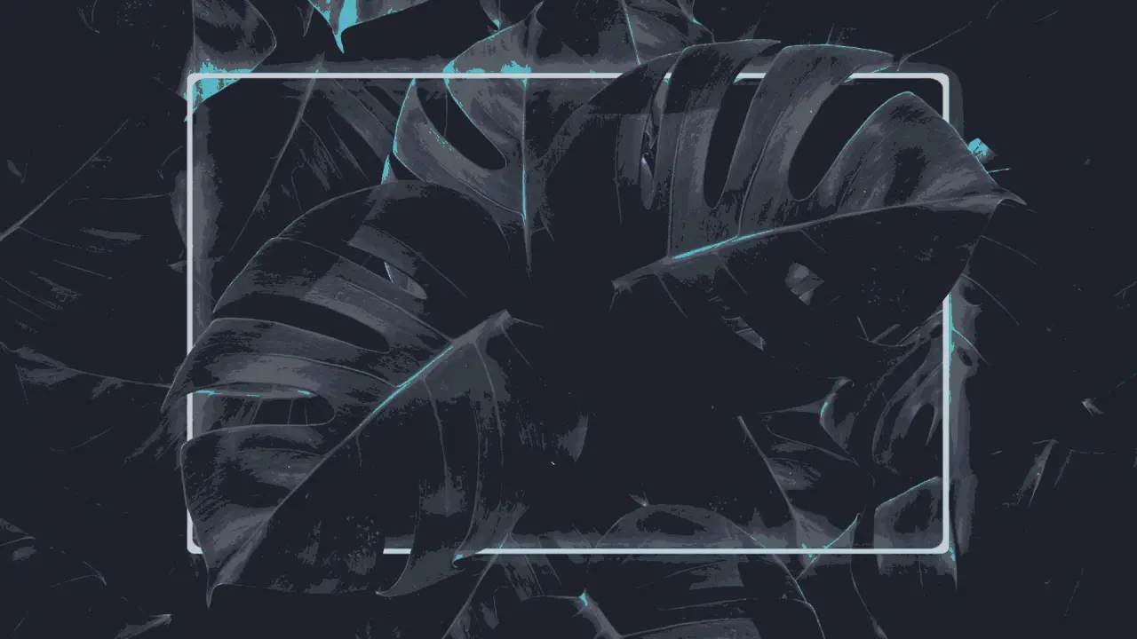 Neon Tropical Leaves – black and grey desktop wallpaper, 1920×1080