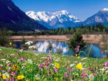 Alpine Spring Meadow Reflection wallpaper