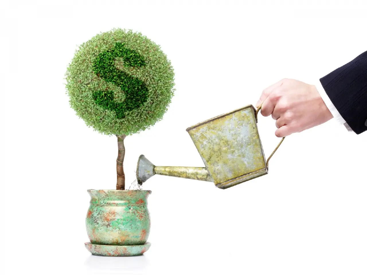 Growing Wealth With Care – white and yellow desktop wallpaper, 1600×1200