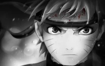 Gaze of the Ninja wallpaper