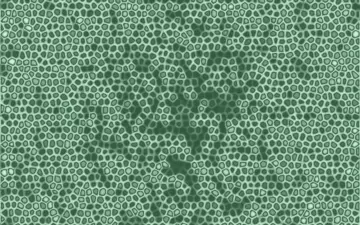 Dense Green Cellular Grid wallpaper