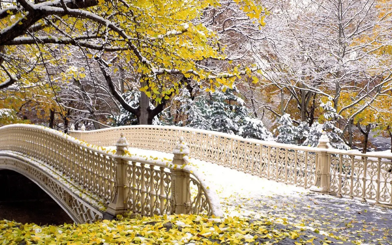 Snowy Bridge in Autumn – beige and green desktop wallpaper, 2560×1600