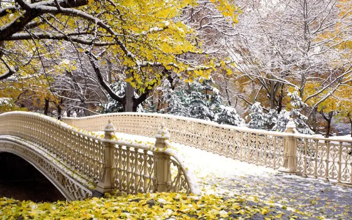 Snowy Bridge in Autumn as a phone lock screen