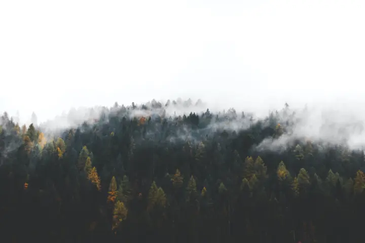 Misty Mountain Forest as a phone lock screen
