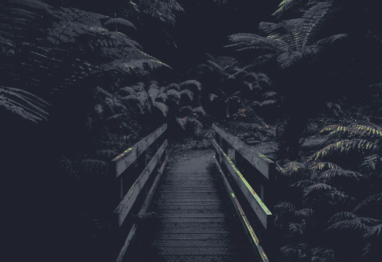 Bridge Through Dark Ferns – black and grey desktop wallpaper, 4000×2750