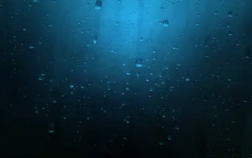 Raindrops on Glass wallpaper
